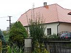 Třibřichy